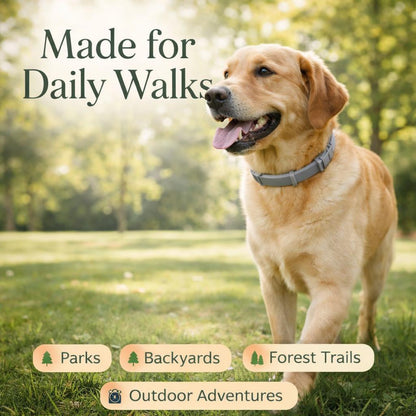 8-Month Flea & Tick Protection Collar
