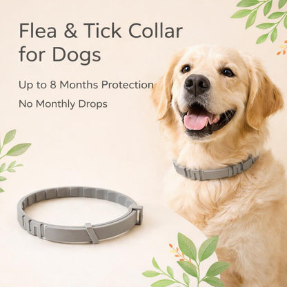 8-Month Flea & Tick Protection Collar