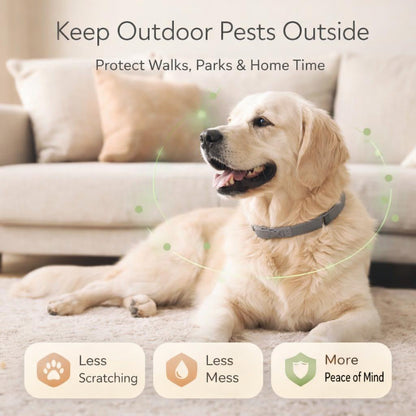 8-Month Flea & Tick Protection Collar