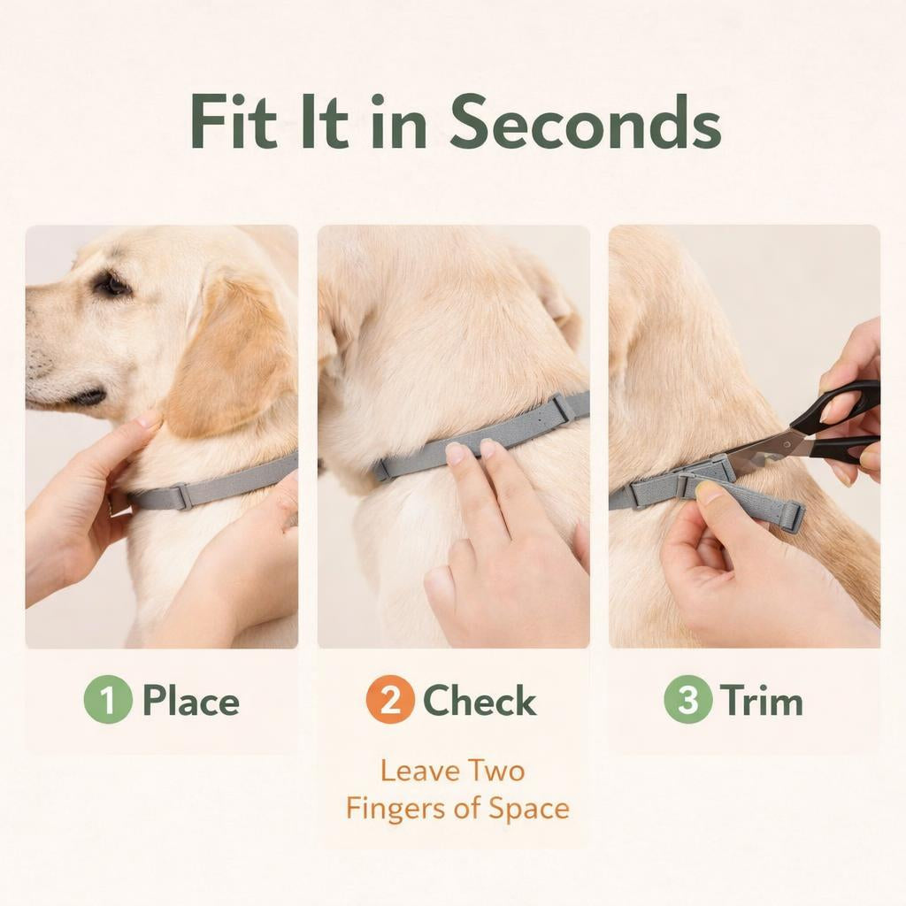 8-Month Flea & Tick Protection Collar