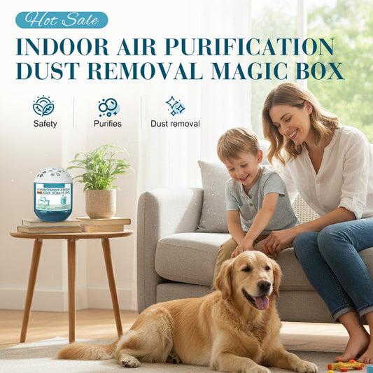 Air Magic Box for Fresher Spaces